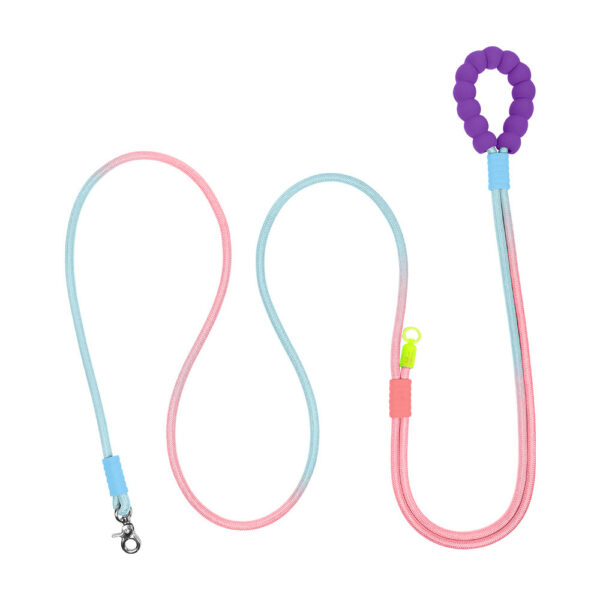dopamine gradient dog leash set