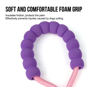dopamine gradient dog leash set