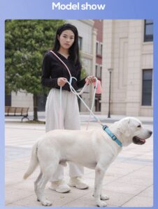 dopamine gradient dog leash set