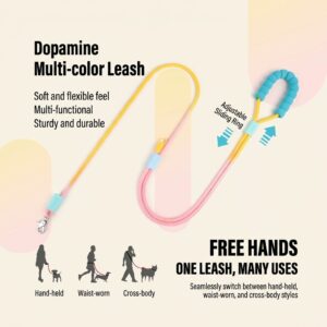 dopamine gradient dog leash set