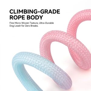 dopamine gradient dog leash set