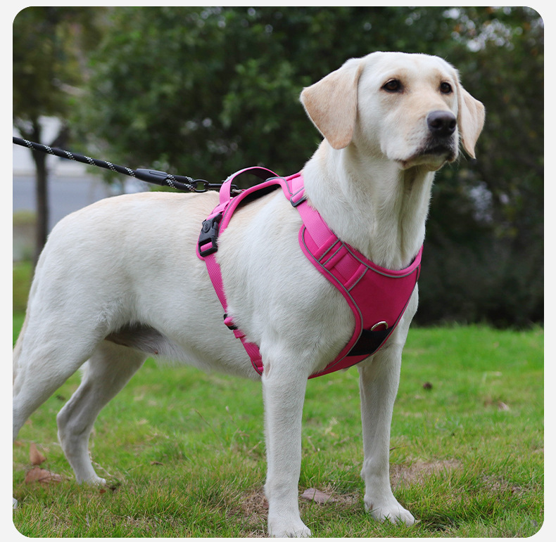 airtag integrated no pull dog harness