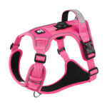 pink-01