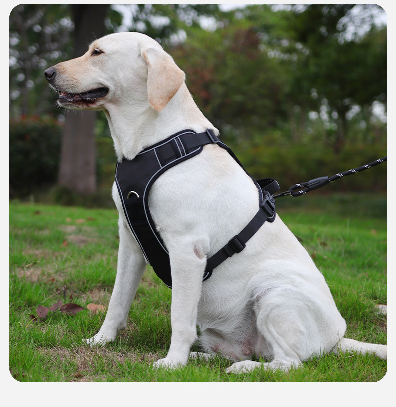 airtag integrated no pull dog harness