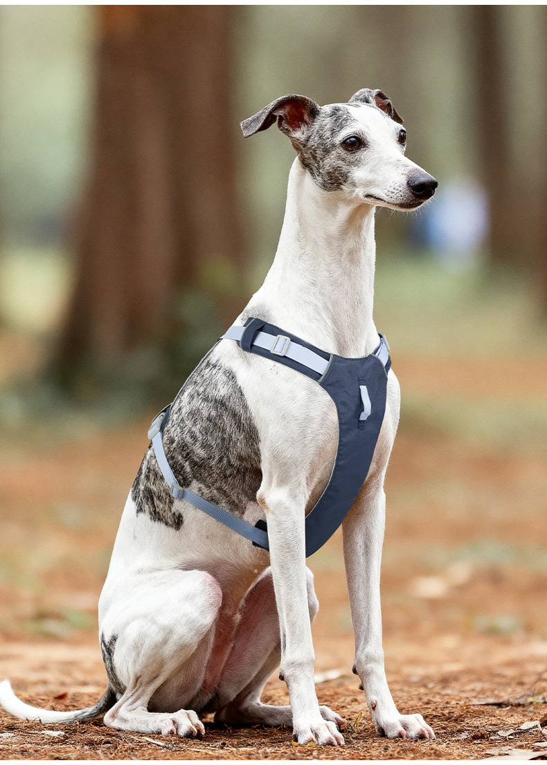 Lightweight Fast Dry Harness Blue Lightweight Fast Dry Harness - Image 3