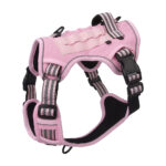 pink-01