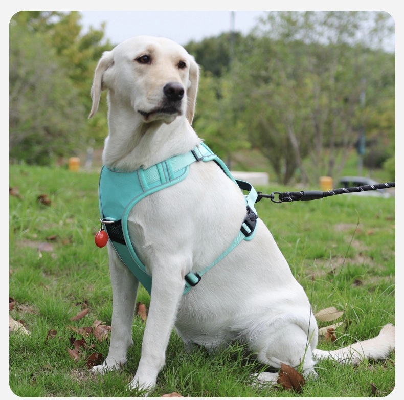 airtag integrated no pull dog harness