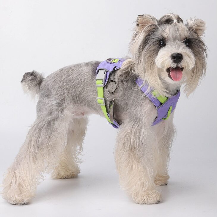 Lightweight Fast Dry Harness Purple Lightweight Fast Dry Harness - Image 5