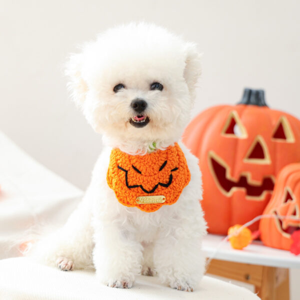 Spooky Halloween Crochet Bib