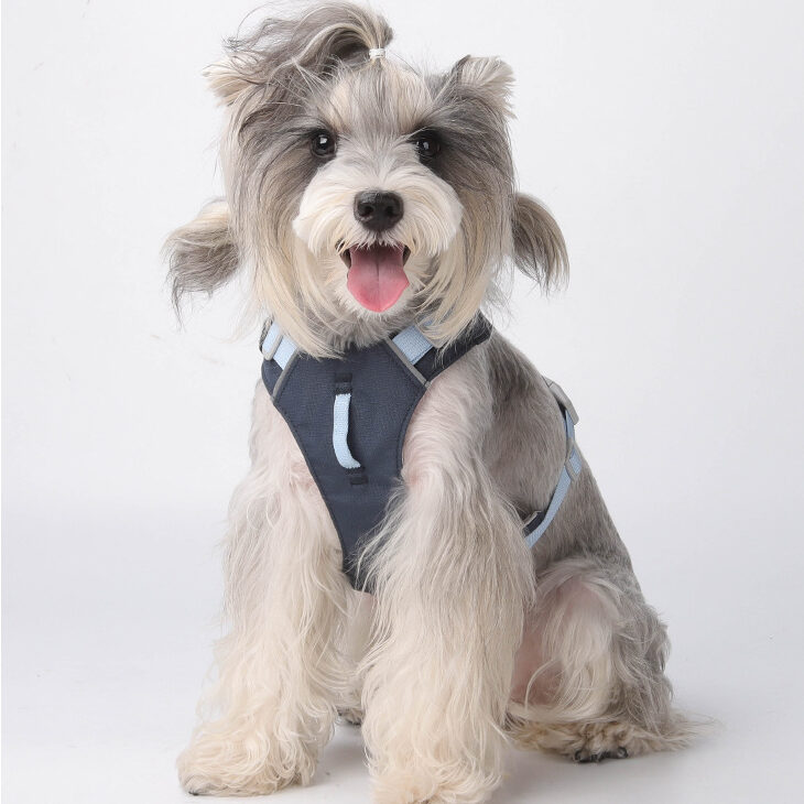 Lightweight Fast Dry Harness Blue Lightweight Fast Dry Harness - Image 4